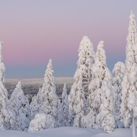 Northern Bliss Hideaway Rovaniemi Kültér fotó