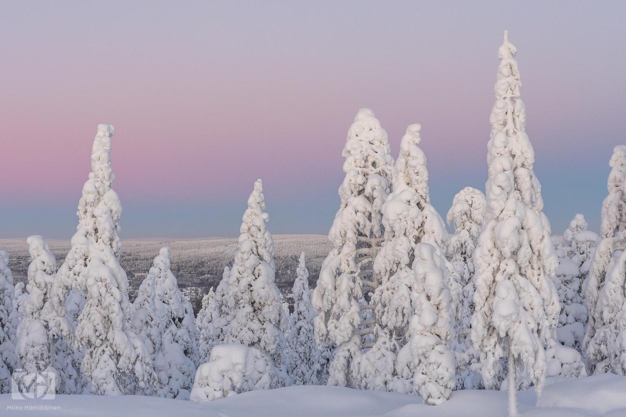 Northern Bliss Hideaway Rovaniemi Kültér fotó
